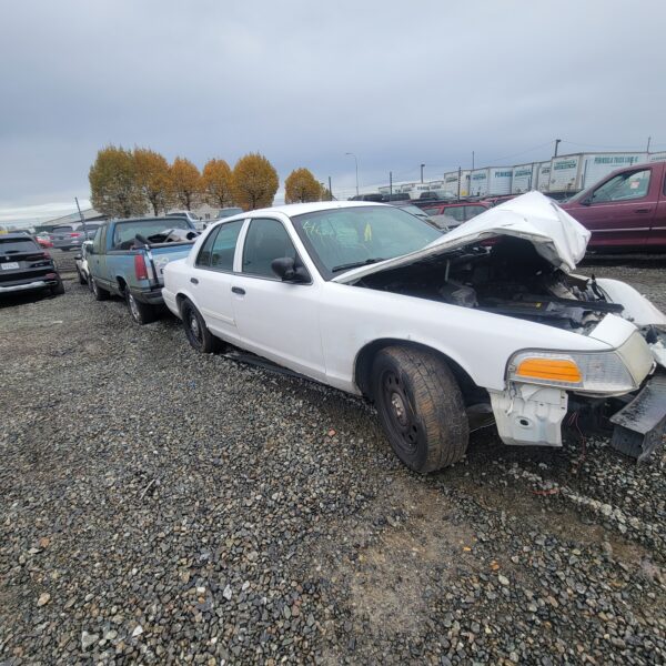 46180: 2009 - Ford - Crown Victoria - Image 3