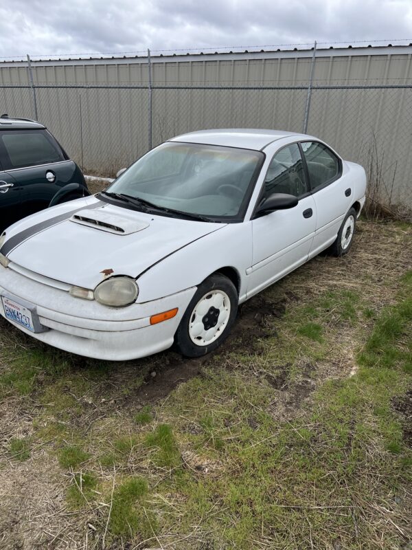 47281: 1995 - Dodge - Neon - Image 2