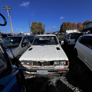 48888 - 1981 - Datsun - Pickup