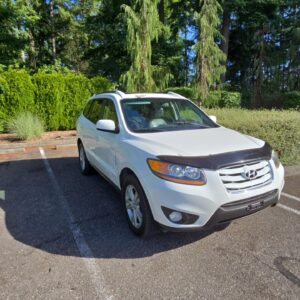 50423 - 2010 - Hyundai - Santa Fe